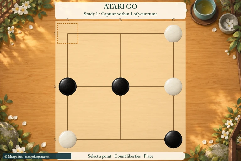Atari Go cover illustration