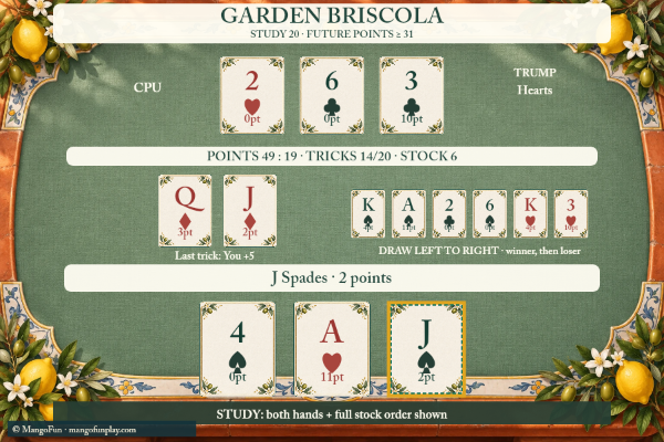 Garden Briscola cover illustration