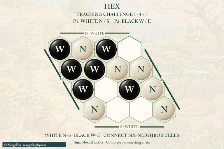 Hex cover illustration