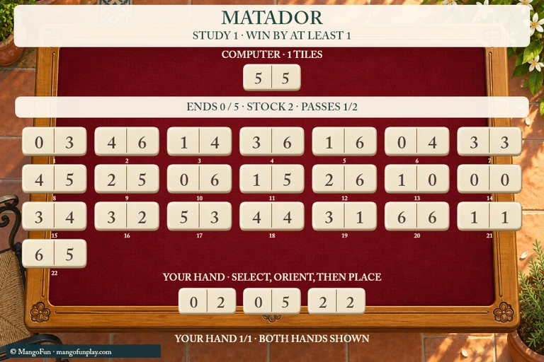 Matador cover illustration
