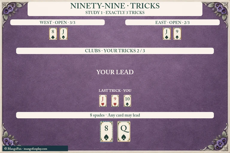 Ninety Nine Trick Taking cover illustration