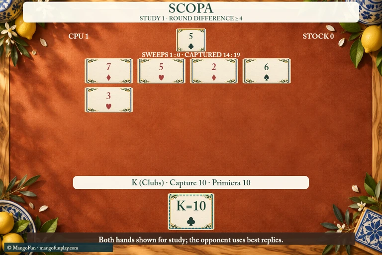 Scopa cover illustration