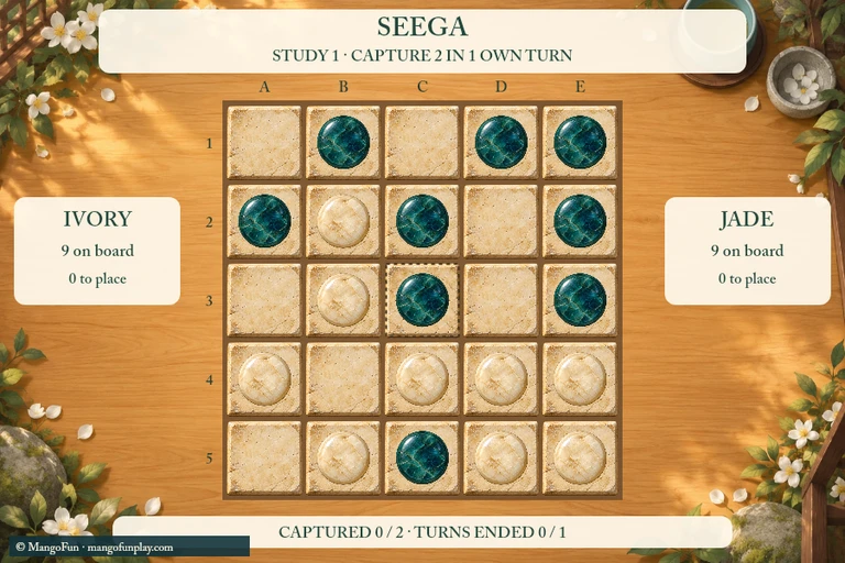Seega cover illustration