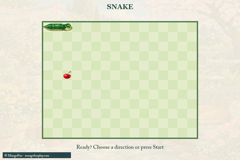 Snake cover illustration