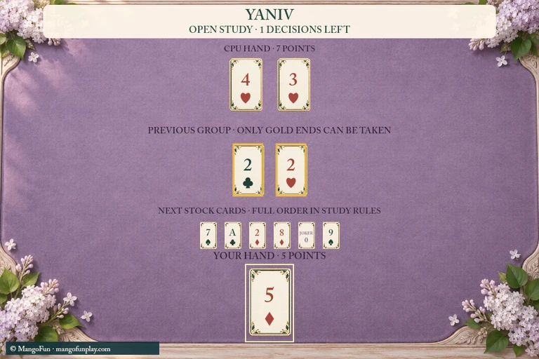 Yaniv cover illustration